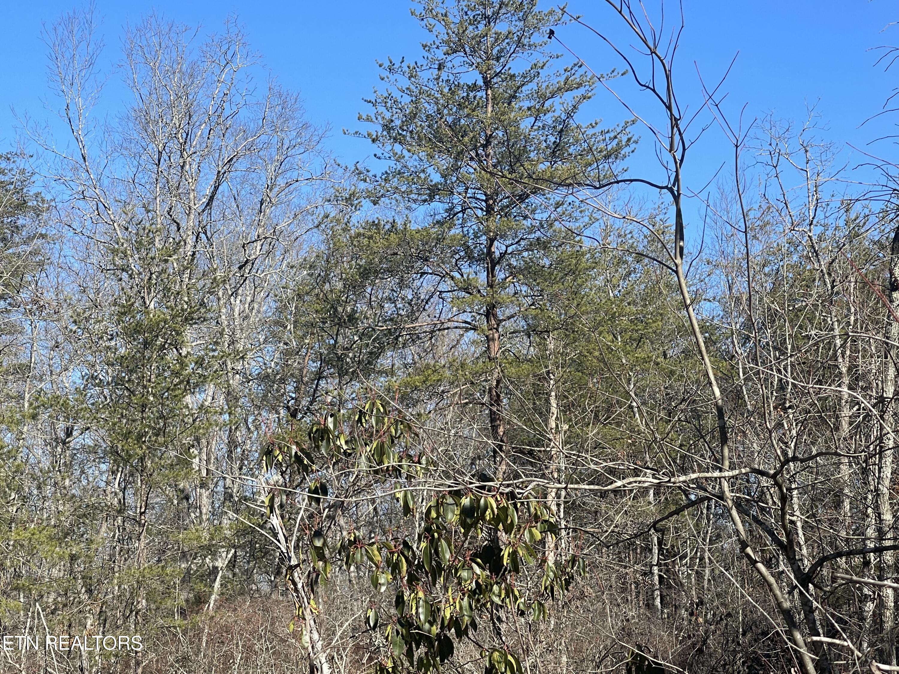 Lot 396 Cleggan Dr Drive Property Photo