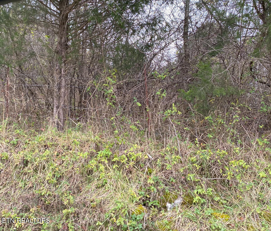 600 Flowers Gap Rd Property Photo 6