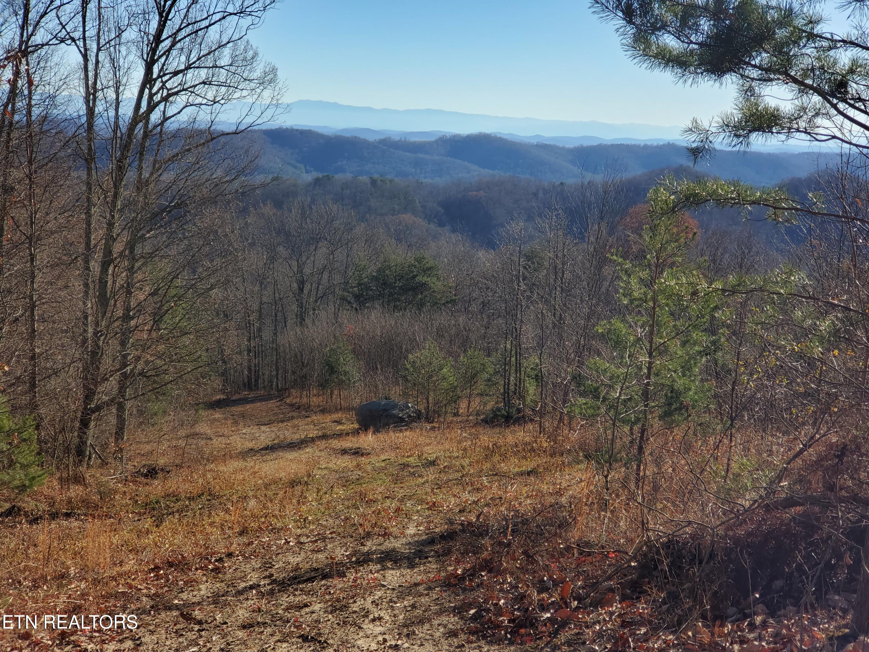 Poor Valley Property Photo