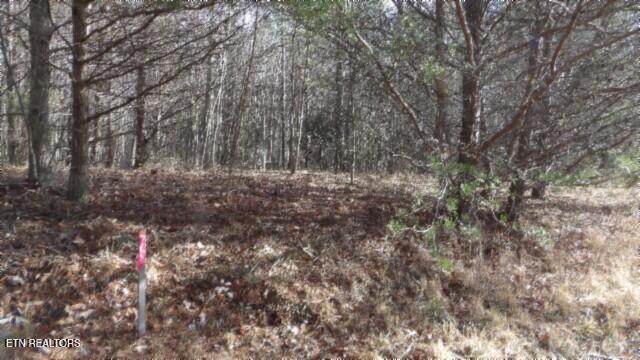 Lot 185 Meadow Lane Property Photo 1