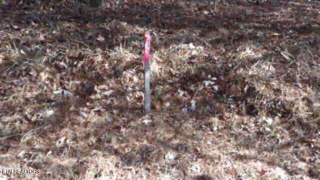 Lot 185 Meadow Lane Property Photo 2