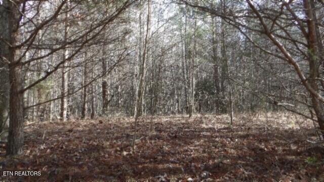 Lot 185 Meadow Lane Property Photo 4