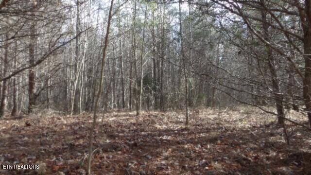 Lot 185 Meadow Lane Property Photo 5