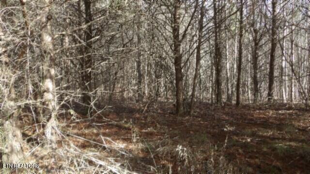 Lot 185 Meadow Lane Property Photo 7