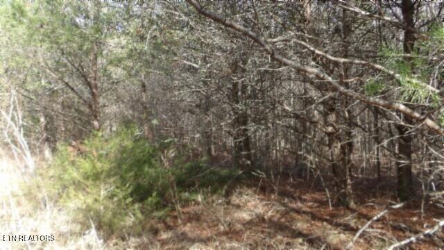 Lot 185 Meadow Lane Property Photo 8