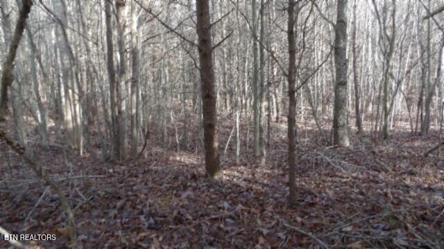 Lot 185 Meadow Lane Property Photo 9