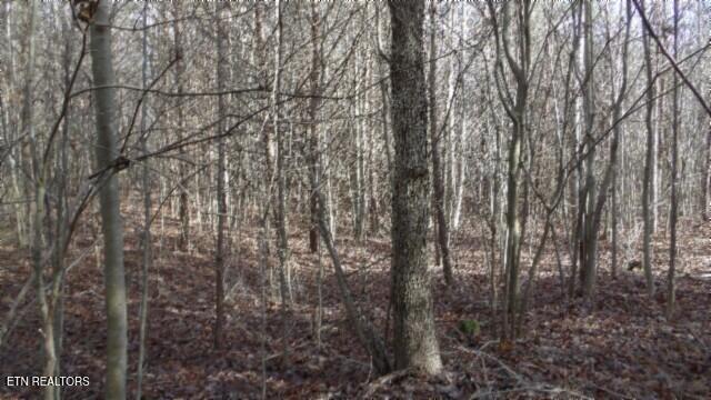 Lot 185 Meadow Lane Property Photo 10