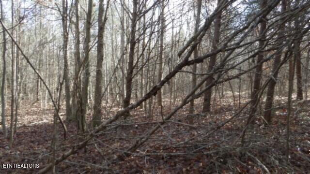 Lot 185 Meadow Lane Property Photo 11