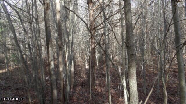 Lot 185 Meadow Lane Property Photo 12
