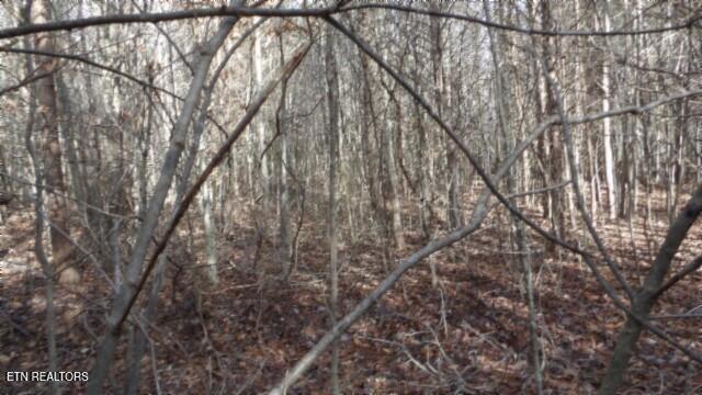 Lot 185 Meadow Lane Property Photo 15