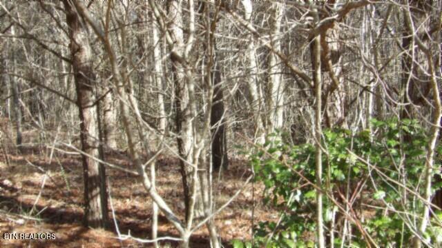 Lot 185 Meadow Lane Property Photo 16