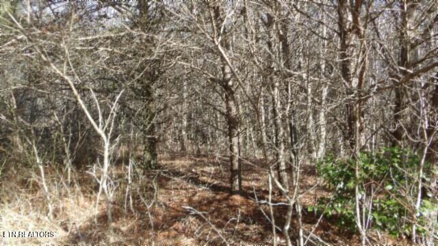 Lot 185 Meadow Lane Property Photo 17