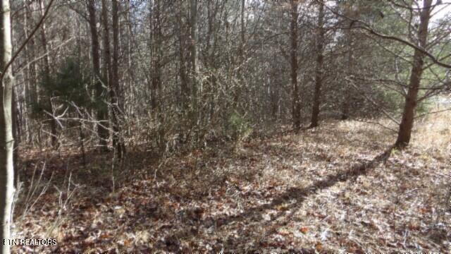 Lot 185 Meadow Lane Property Photo 18