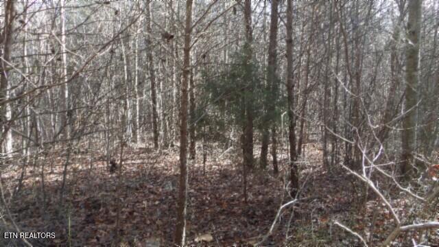 Lot 185 Meadow Lane Property Photo 19