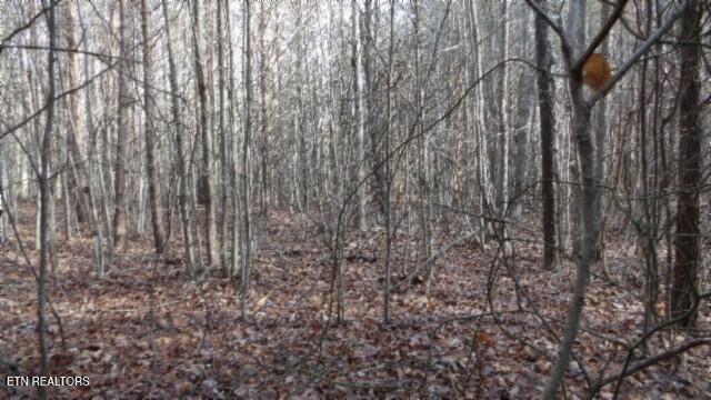 Lot 185 Meadow Lane Property Photo 20