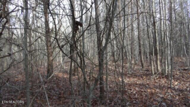 Lot 185 Meadow Lane Property Photo 21