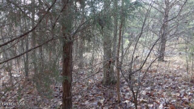 Lot 185 Meadow Lane Property Photo 22
