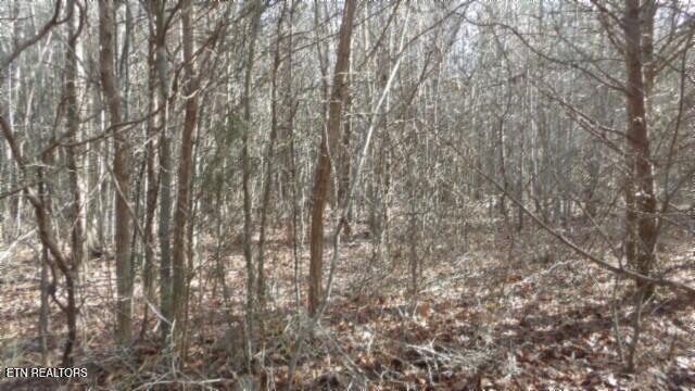 Lot 185 Meadow Lane Property Photo 23