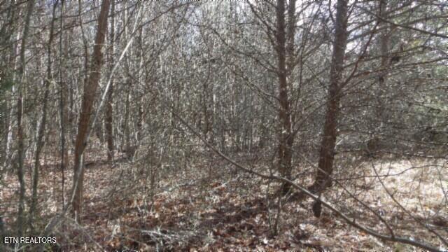 Lot 185 Meadow Lane Property Photo 24