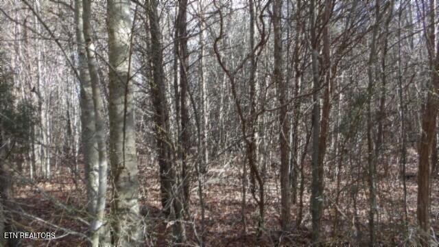 Lot 185 Meadow Lane Property Photo 25