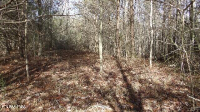 Lot 185 Meadow Lane Property Photo 26