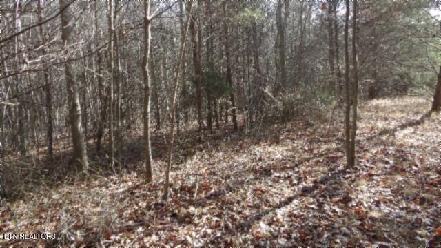 Lot 185 Meadow Lane Property Photo 27