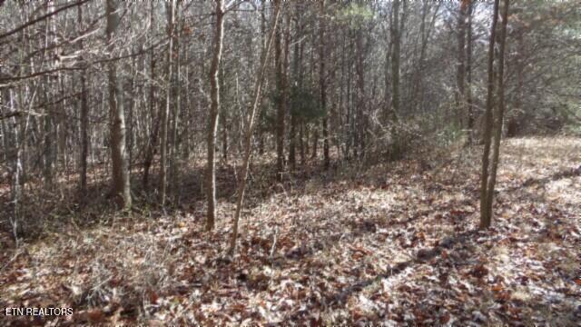 Lot 185 Meadow Lane Property Photo 28