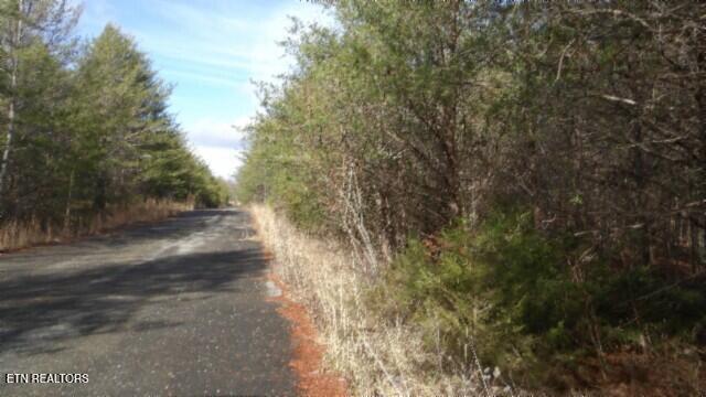 Lot 185 Meadow Lane Property Photo 32
