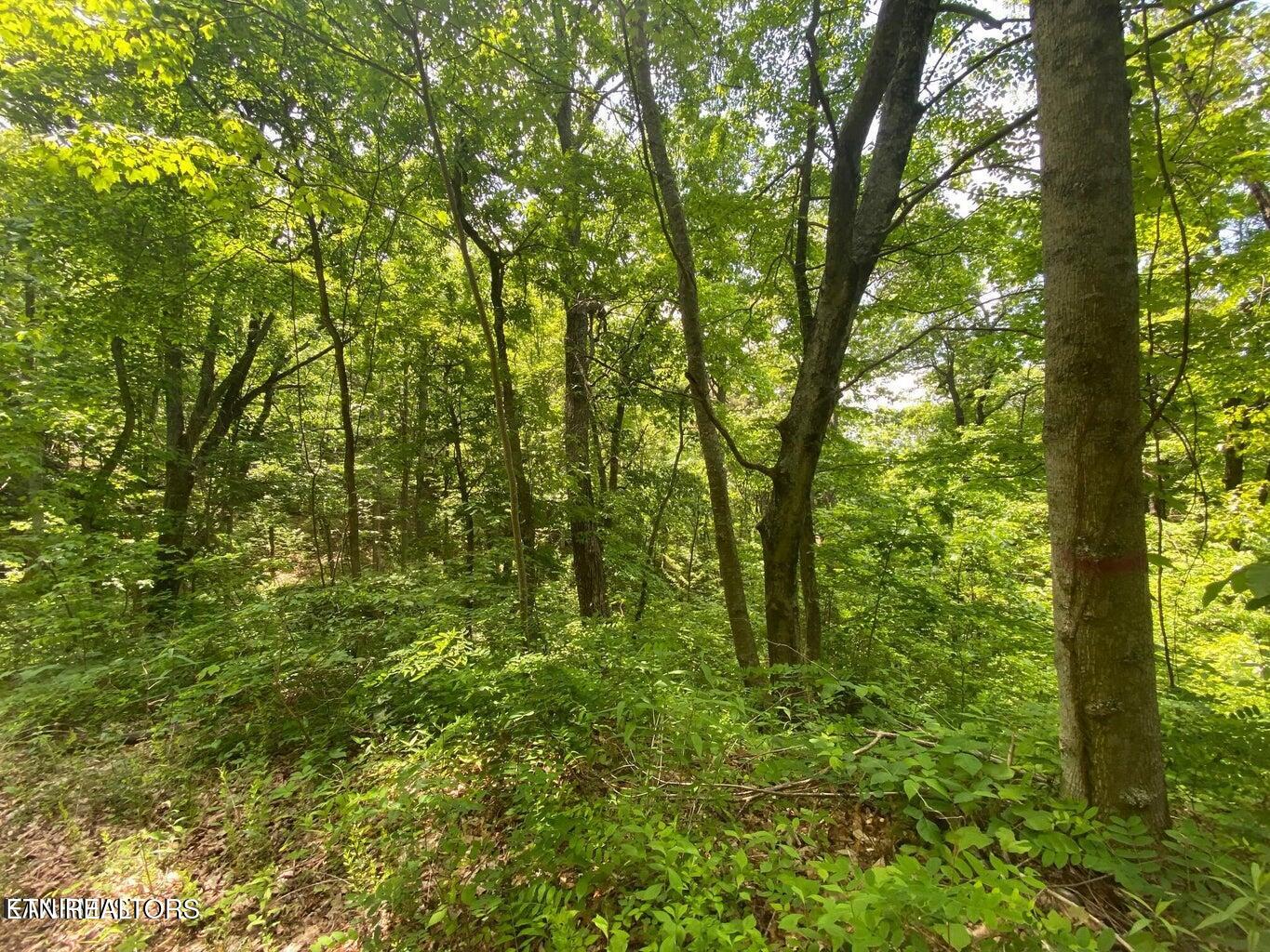 Lot 61 High St Property Photo