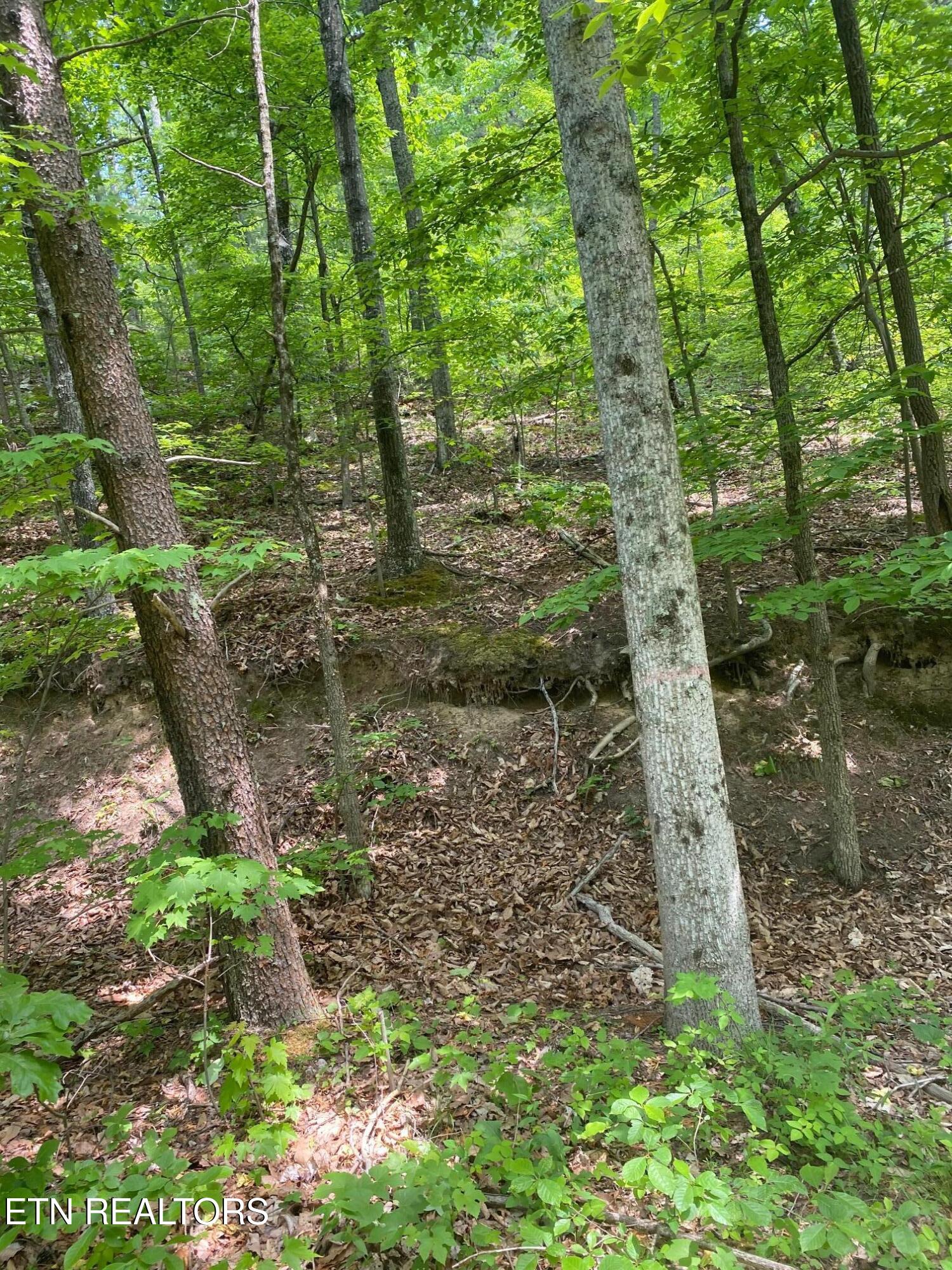 Lot 31 High St Property Photo