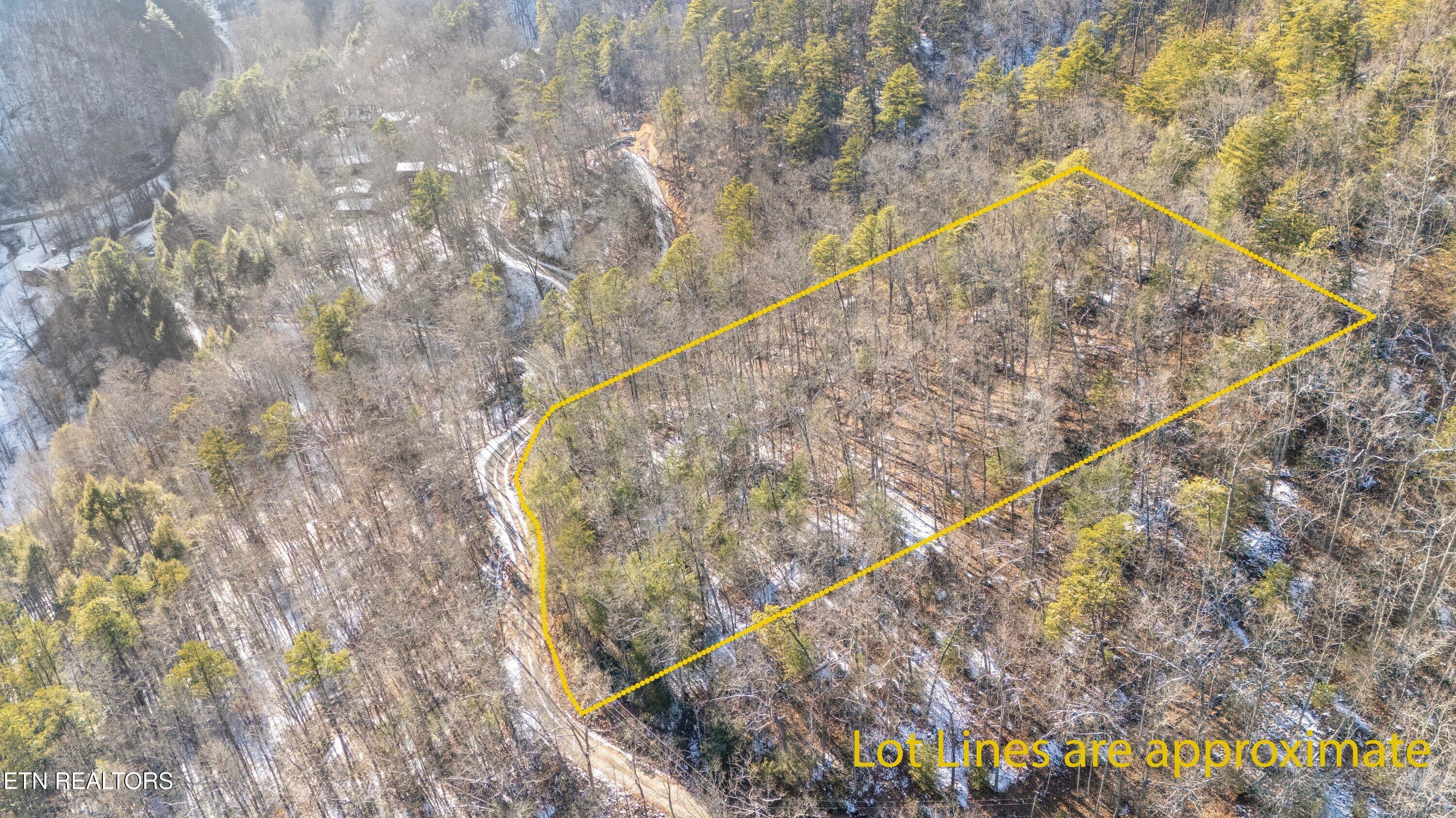Lumber Jack Way Property Photo 2