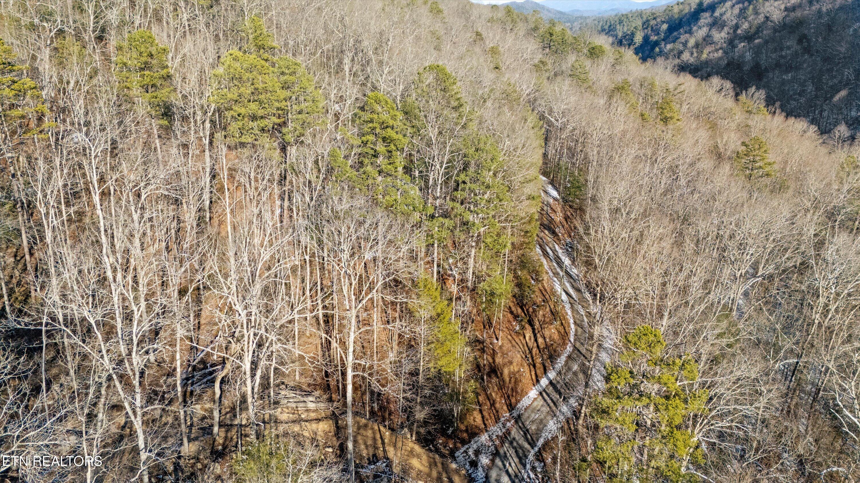 Lumber Jack Way Property Photo 3