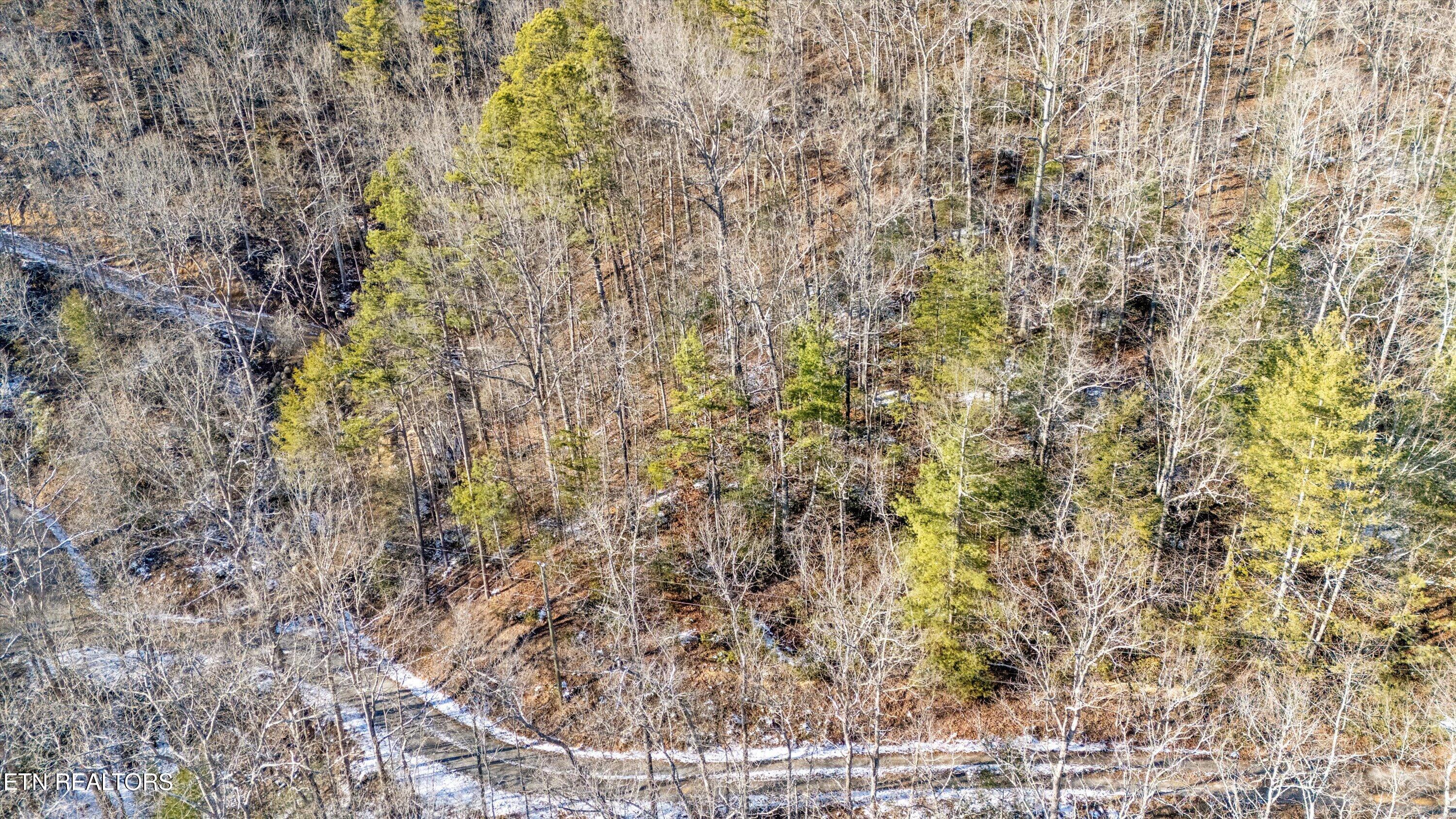 Lumber Jack Way Property Photo 4