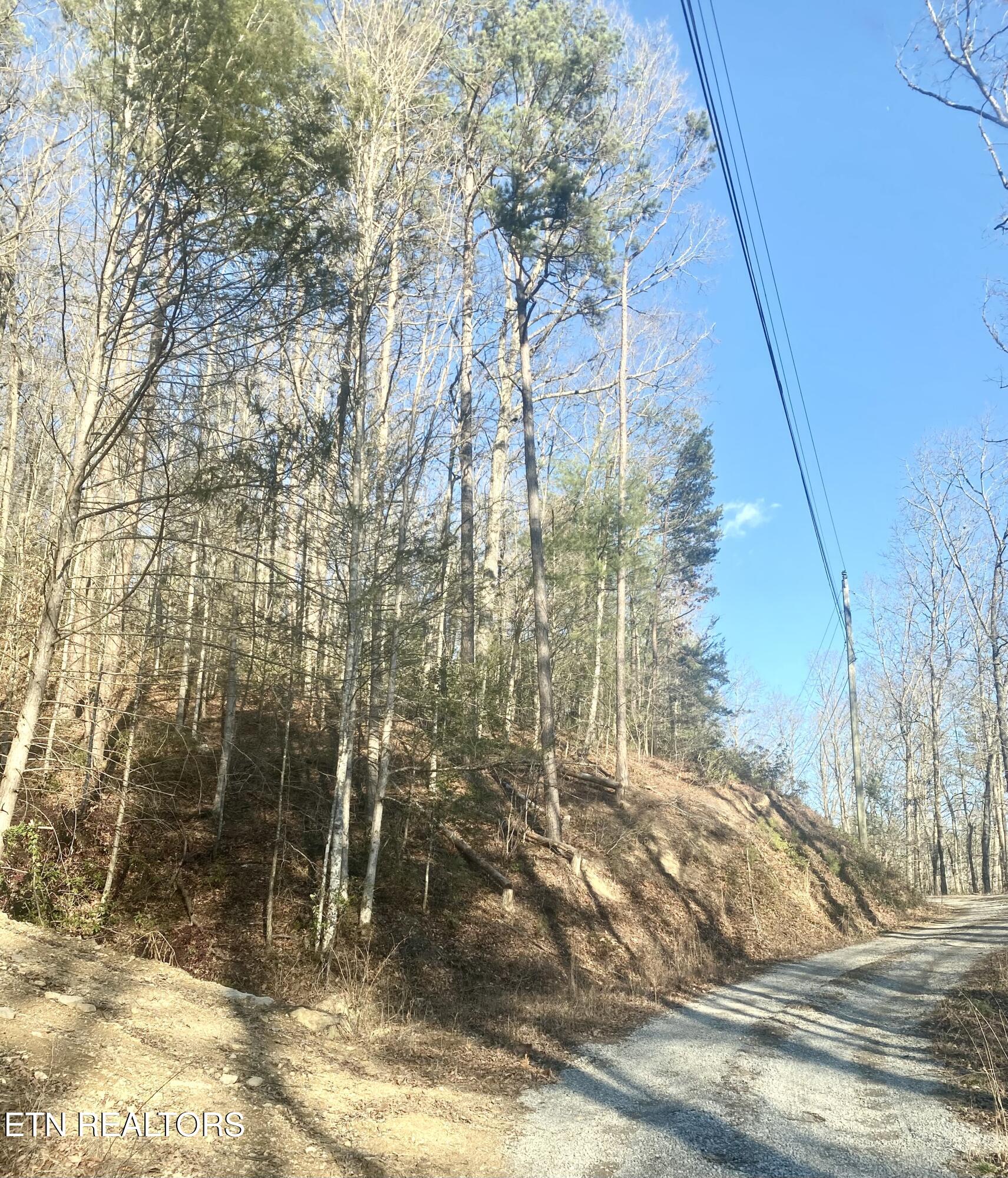 Lumber Jack Way Property Photo 5