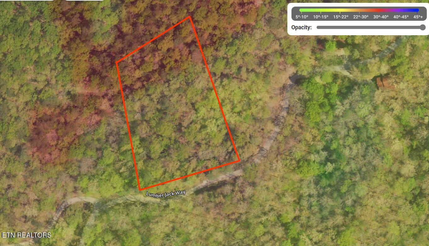Lumber Jack Way Property Photo 7