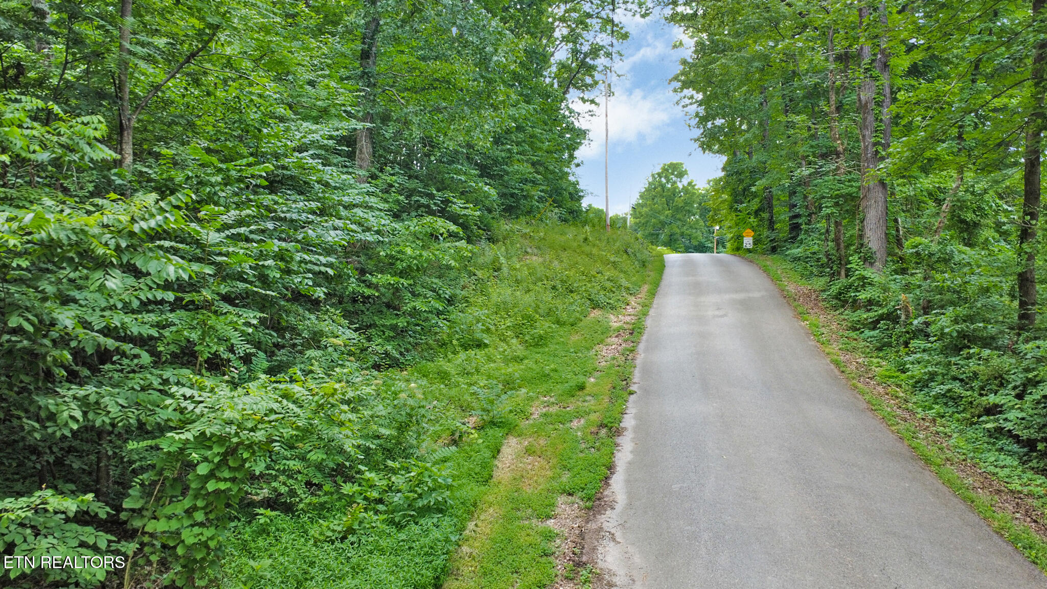 1644 Walker Cove Rd Property Photo 7