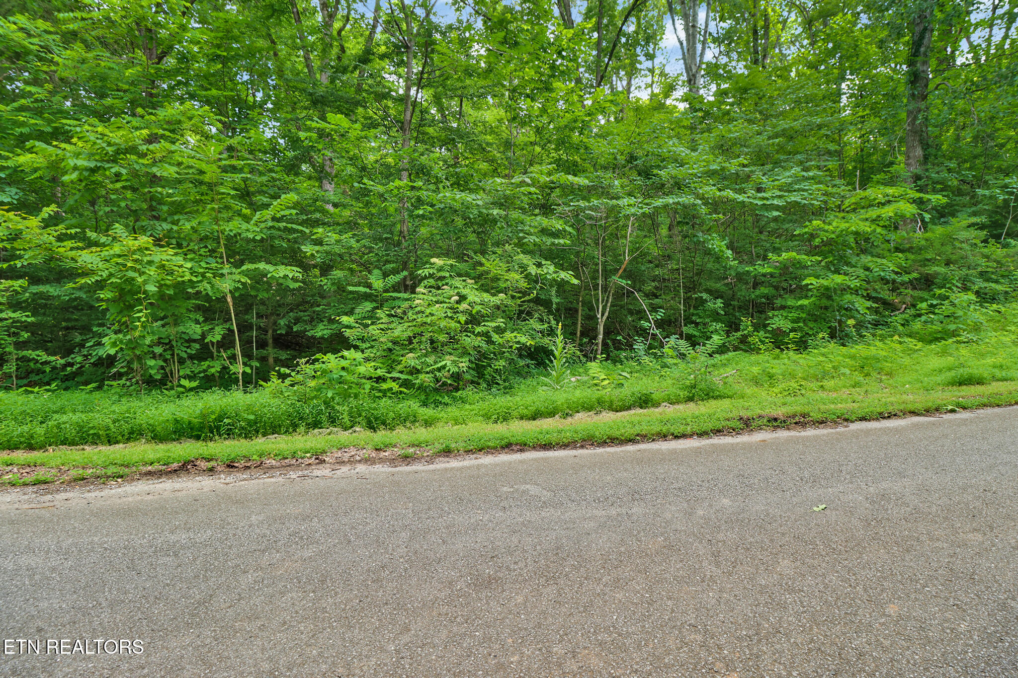 1644 Walker Cove Rd Property Photo 9