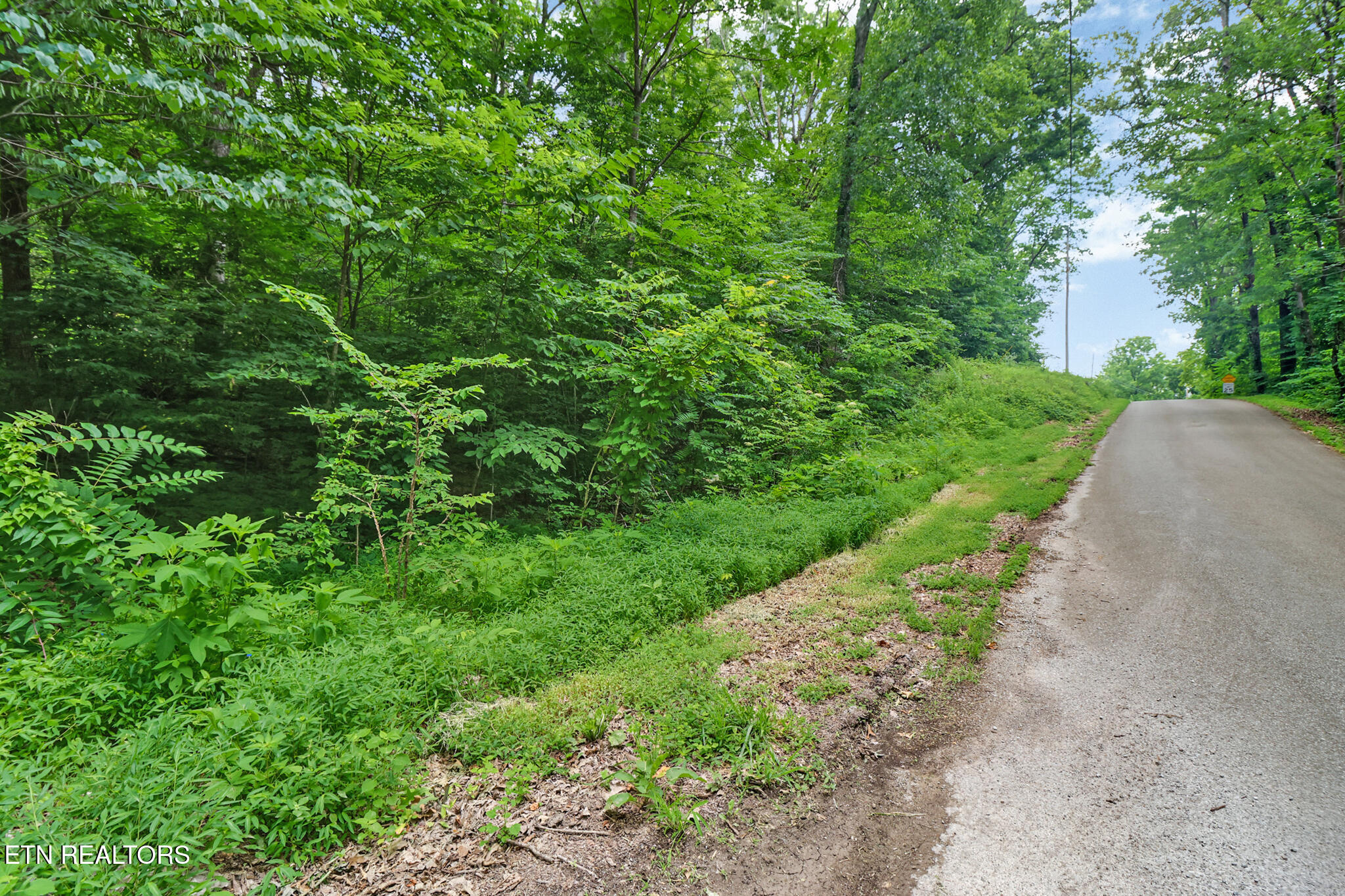 1644 Walker Cove Rd Property Photo 11
