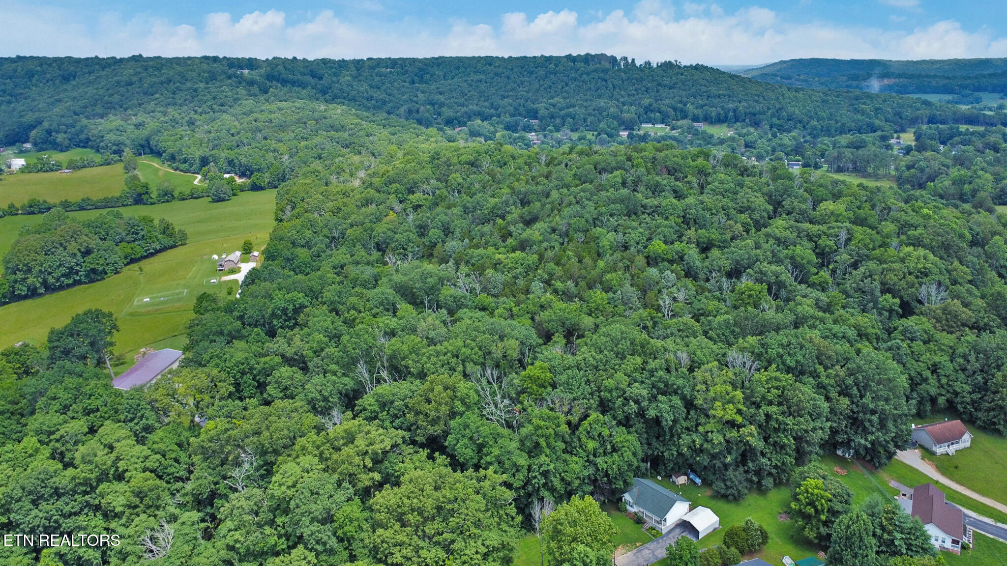 1644 Walker Cove Rd Property Photo 12