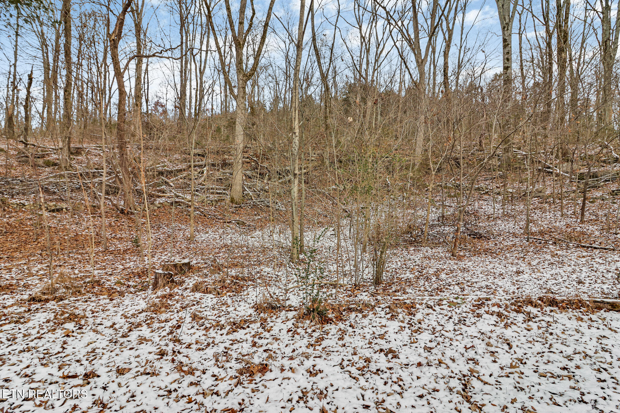 1644 Walker Cove Rd Property Photo 25