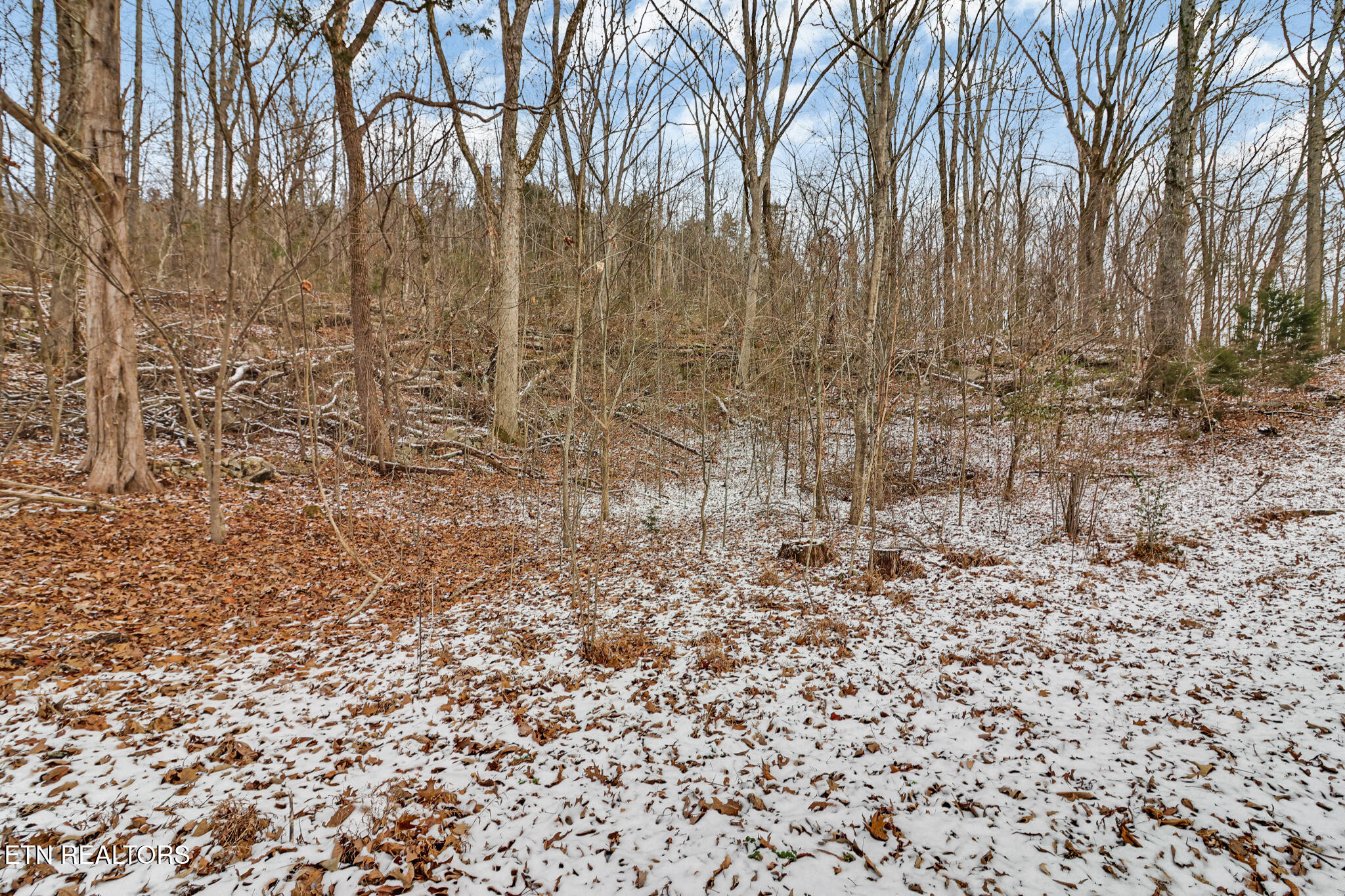 1644 Walker Cove Rd Property Photo 26