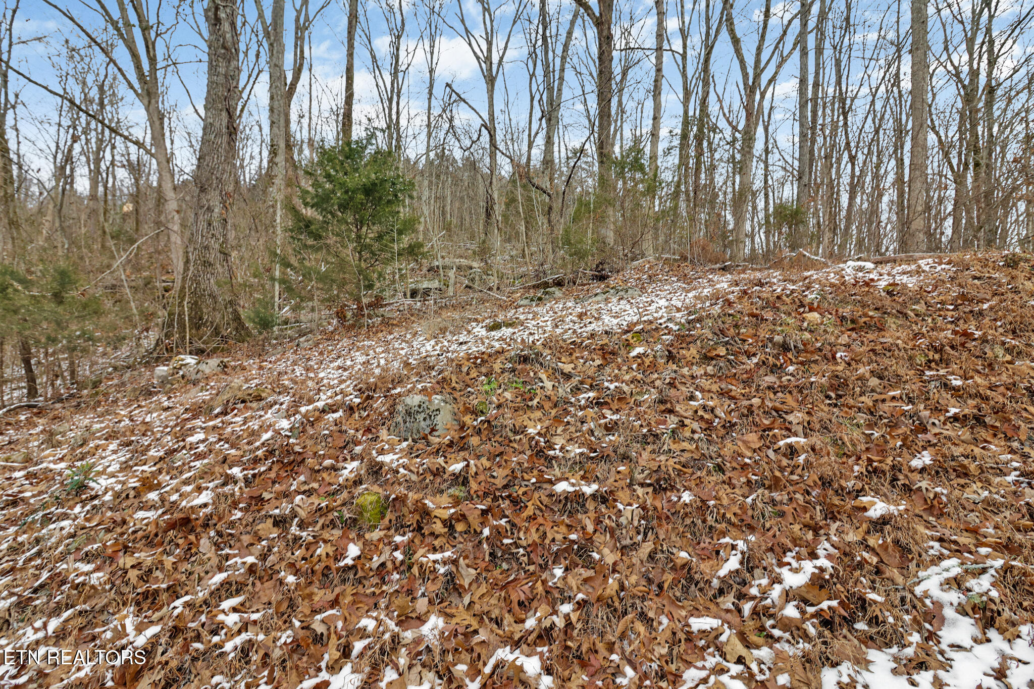 1644 Walker Cove Rd Property Photo 28