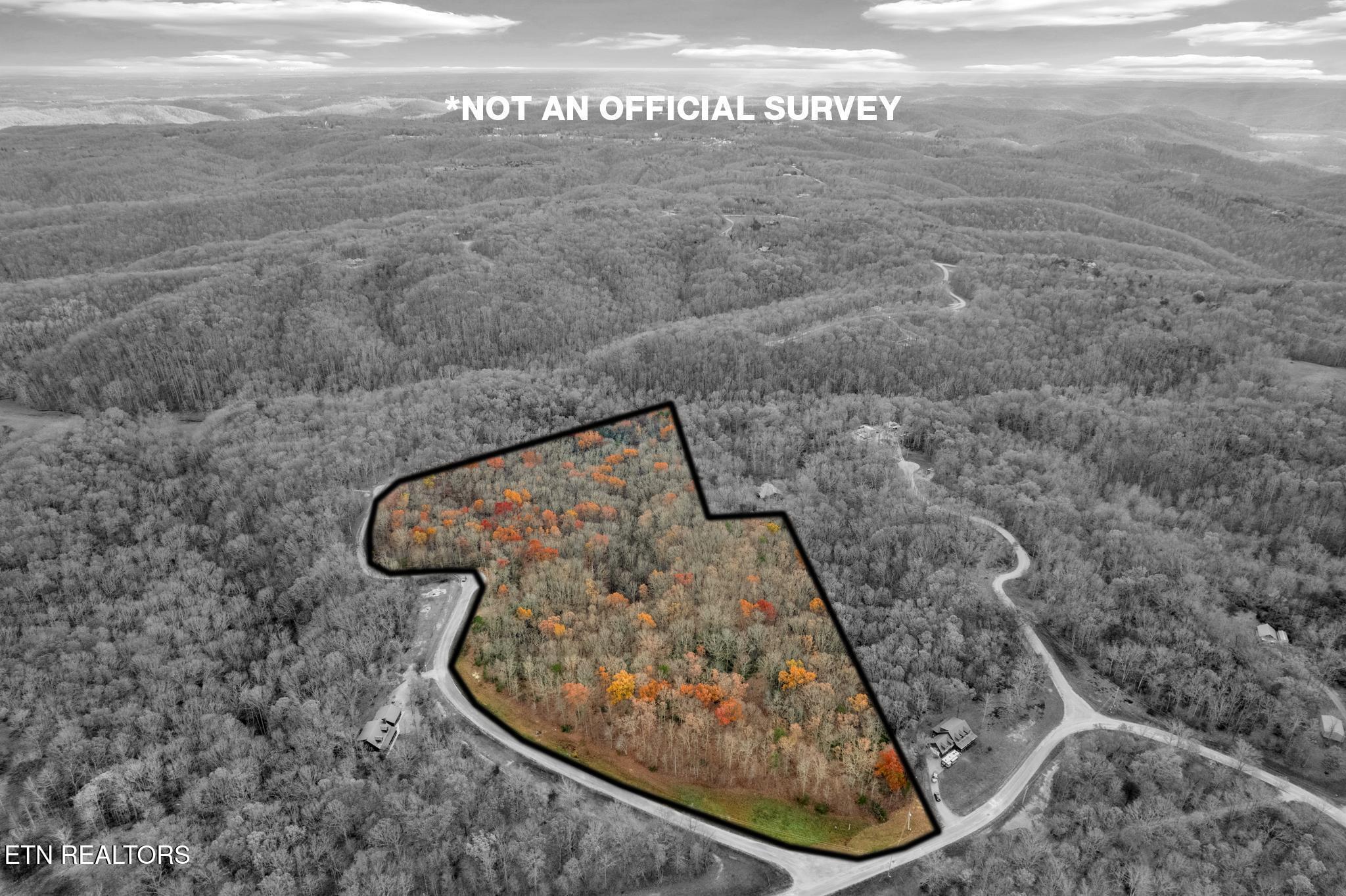 0 Homestead Lane Property Photo 13