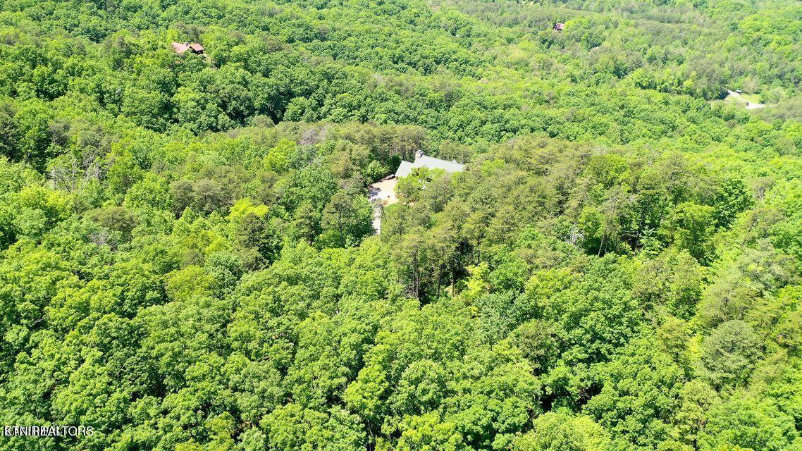 604 Solomon Seal Way Property Photo 3