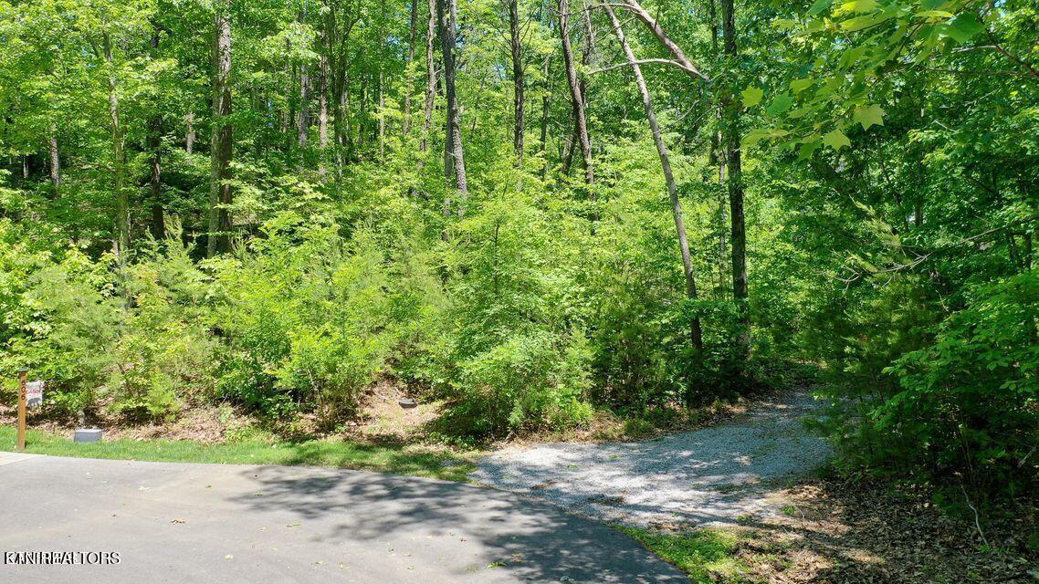 604 Solomon Seal Way Property Photo 4