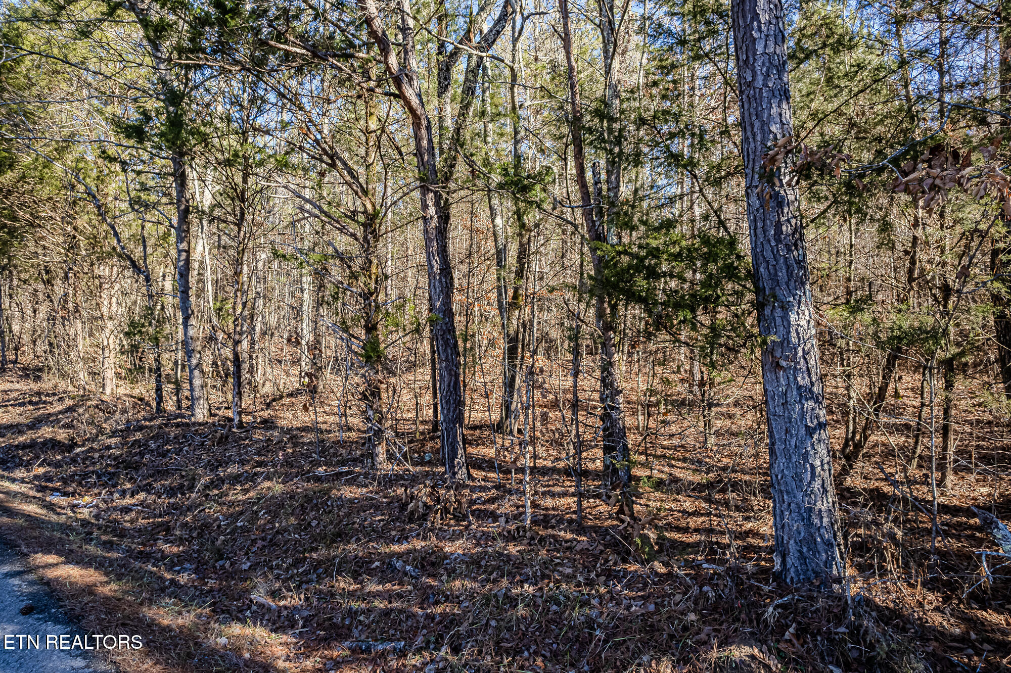 5 Acres S Nopone Valley Rd Property Photo 3