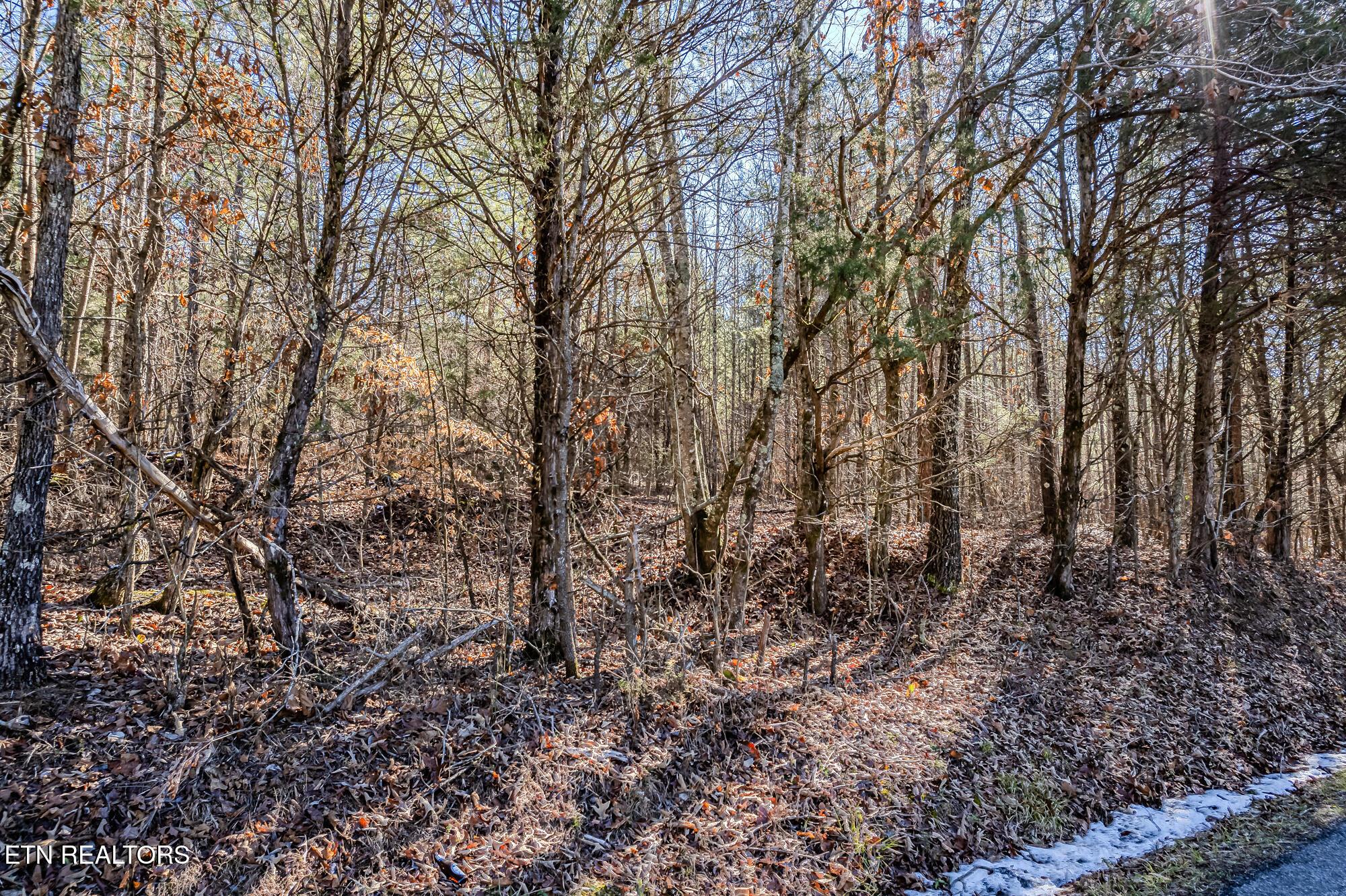 5 Acres S Nopone Valley Rd Property Photo 4
