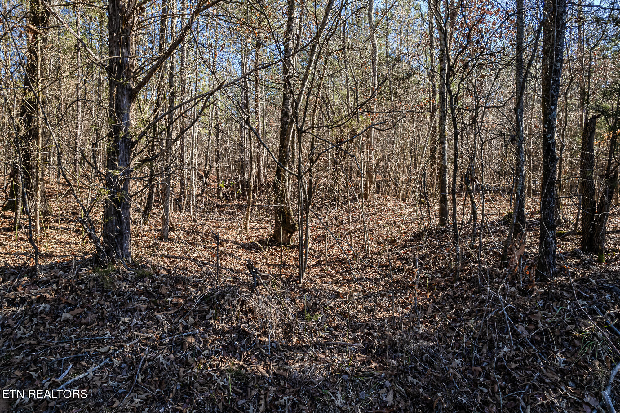 5 Acres S Nopone Valley Rd Property Photo 5