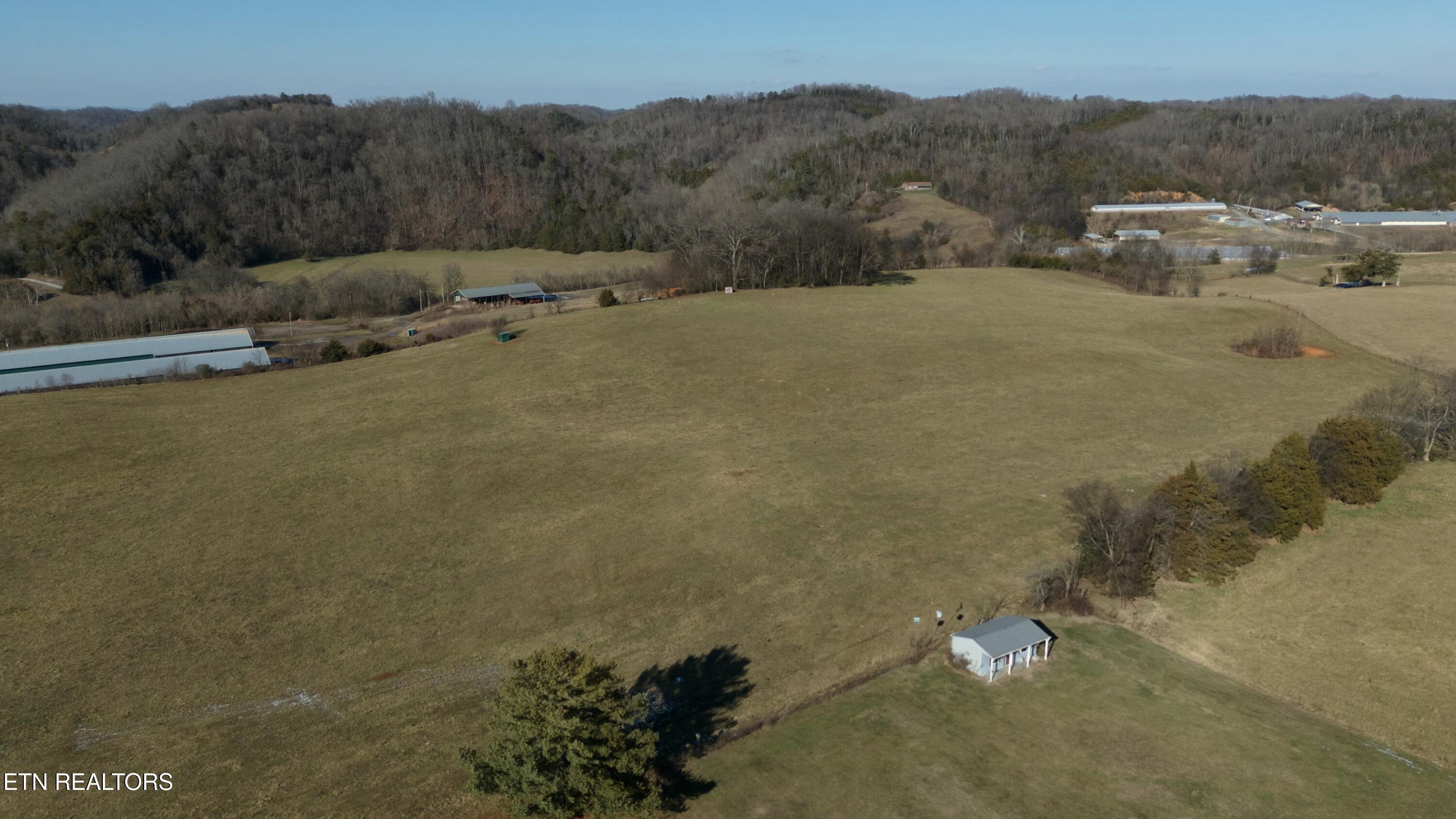 1830 Old Parrottsville Hwy Property Photo 7