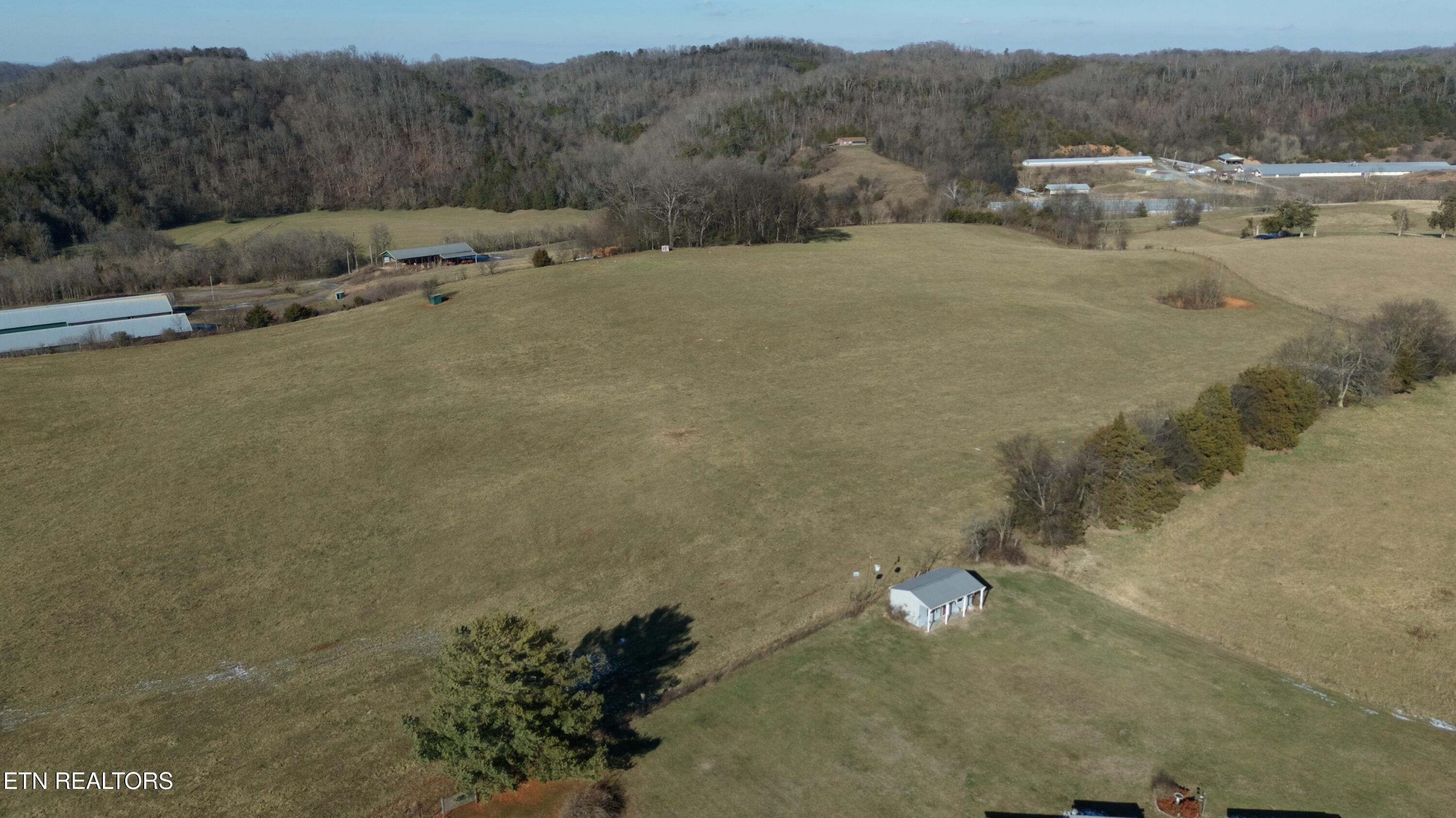 1830 Old Parrottsville Hwy Property Photo 8